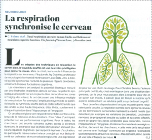 La respiration et le cerveau