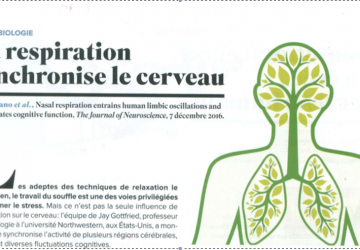 La respiration et le cerveau : apaiser son stress