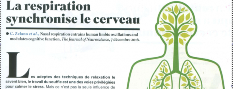 La respiration et le Cerveau